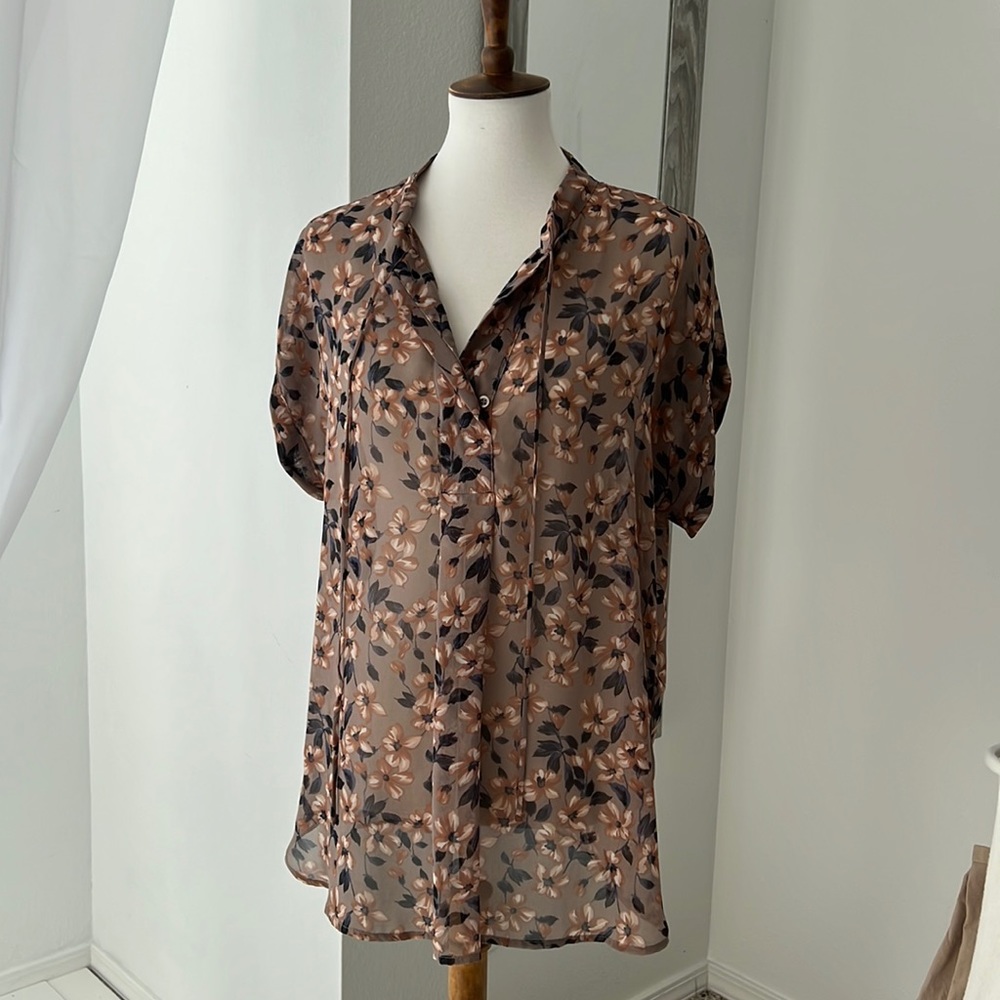 Light sheer blouse